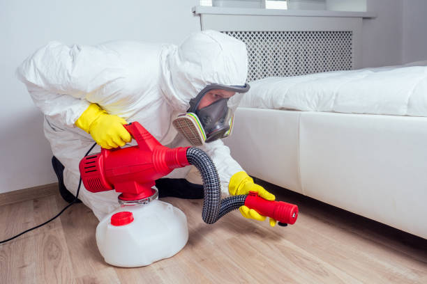 Best Wasp Removal Services  in Ironton, OH