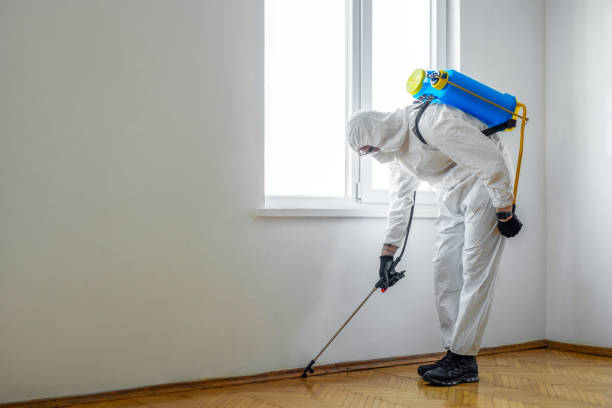 Best Best Pest Control Companies  in Ironton, OH