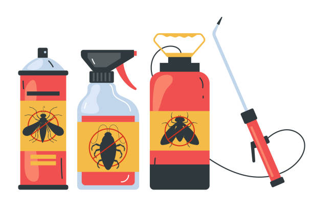 Best Termite Control Services  in Ironton, OH