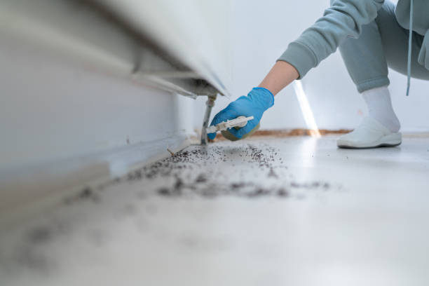 Best Pest Removal Services  in Ironton, OH